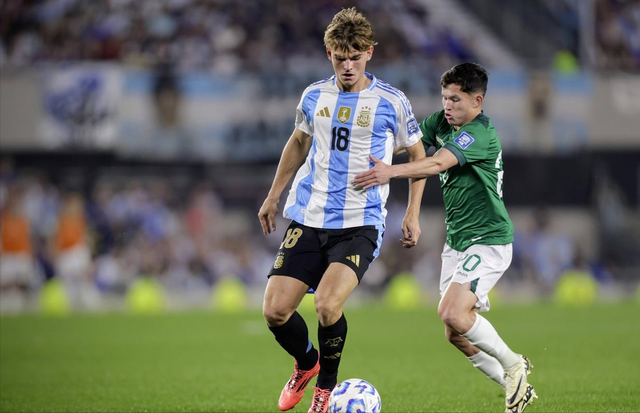 核心稳定性 核心稳定性